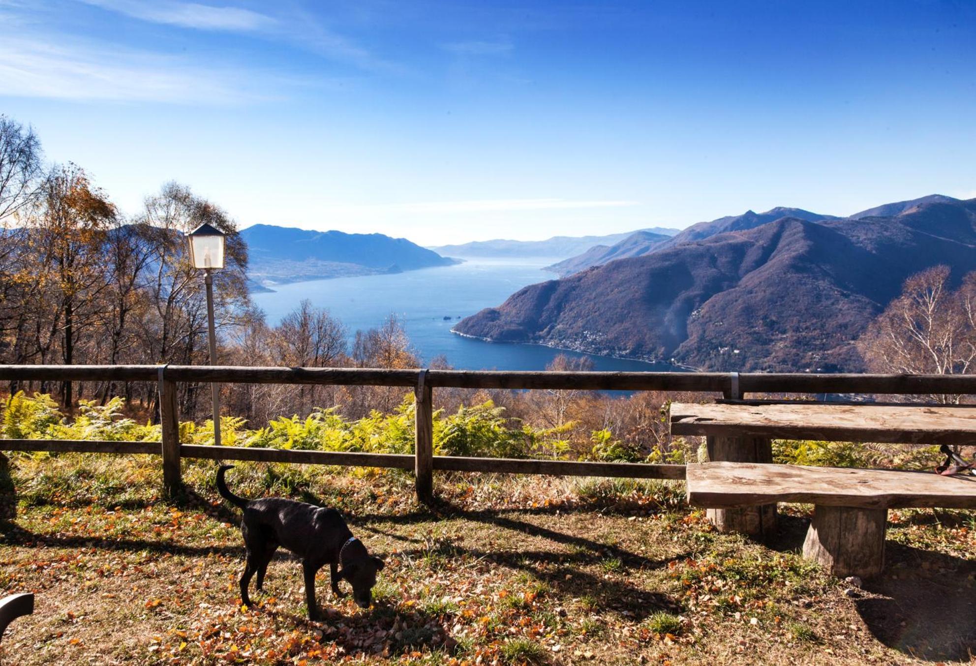 Casa Del Borgo "Aria & Acqua" Sul Lago Maggiore Maccagno Экстерьер фото